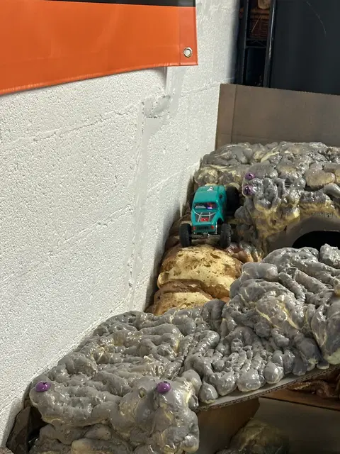 Micro RC crawler competition photo 25