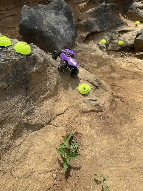 Micro RC crawler competition photo 57