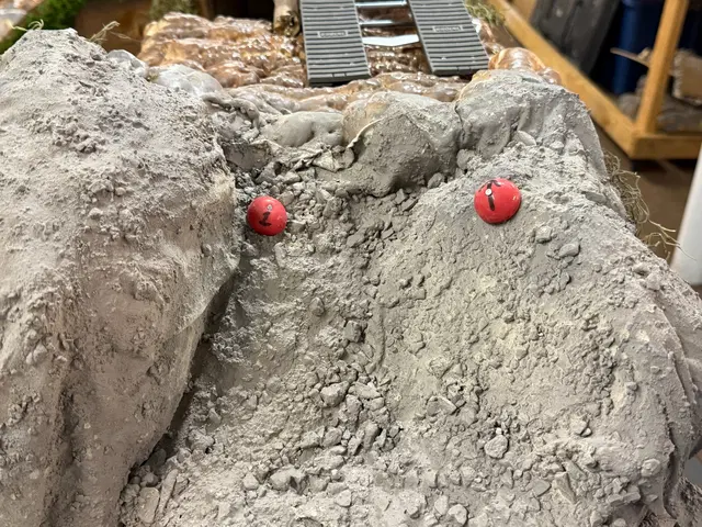 Micro RC crawler competition photo 75