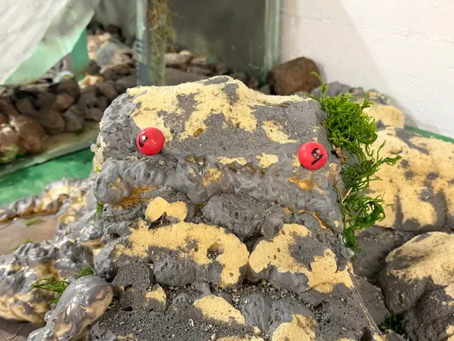Micro RC crawler competition photo 78