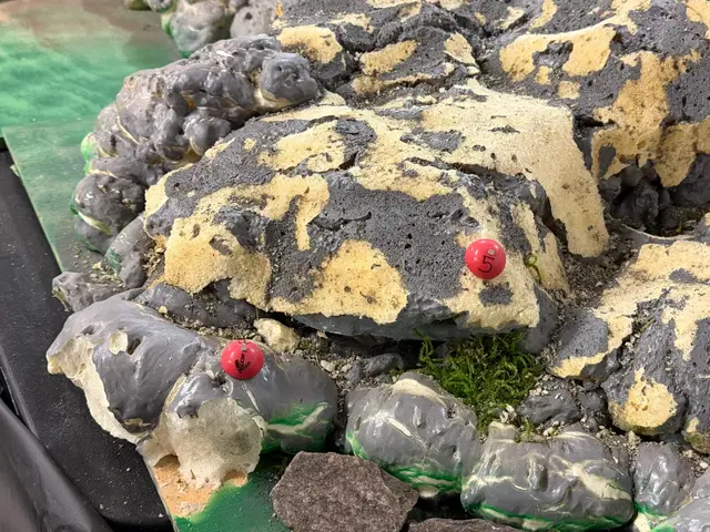 Micro RC crawler competition photo 79