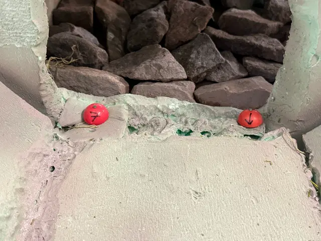 Micro RC crawler competition photo 81