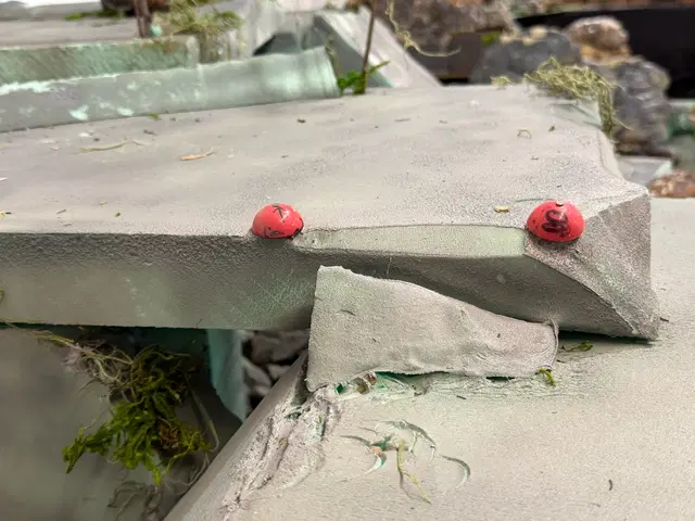 Micro RC crawler competition photo 82