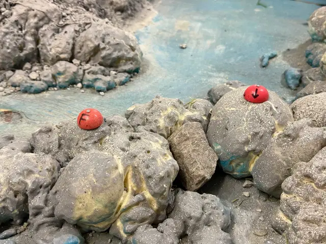 Micro RC crawler competition photo 85