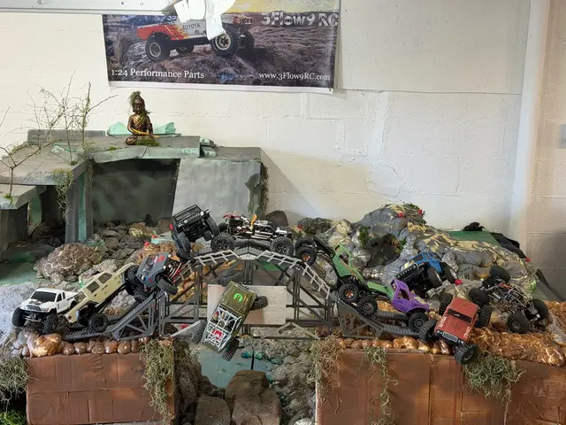 Micro RC crawler competition photo 87