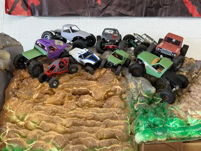 Micro RC crawler competition photo 88