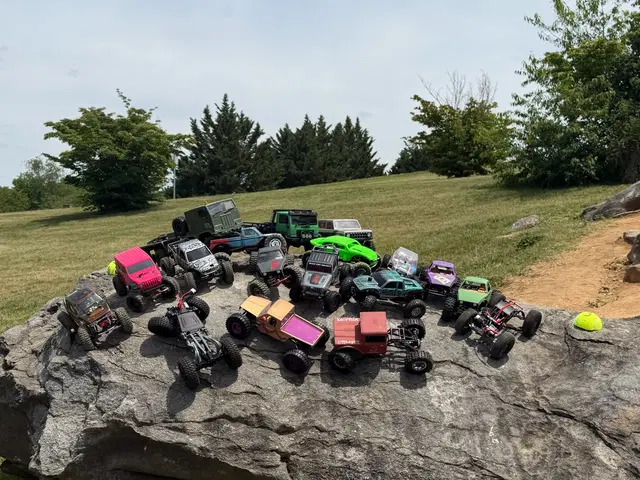 Micro RC crawler competition photo 90