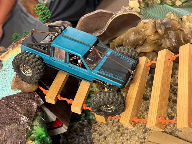 Micro RC crawler competition photo 94