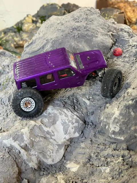 Micro RC crawler competition photo 112
