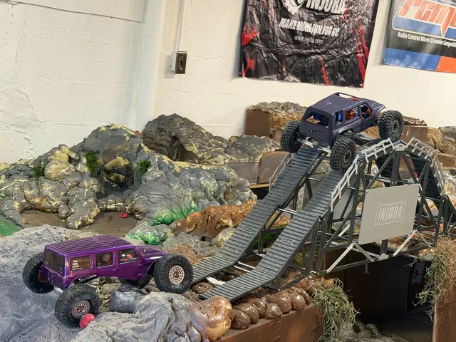 Micro RC crawler competition photo 113